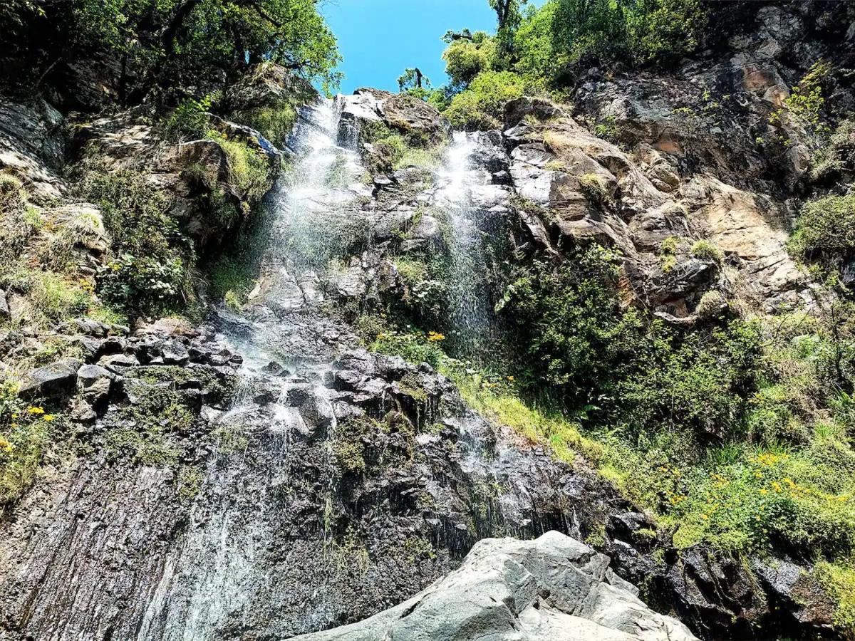 Cabana Para Pareja En El Bosque Ib Acaxochitlán Exterior foto