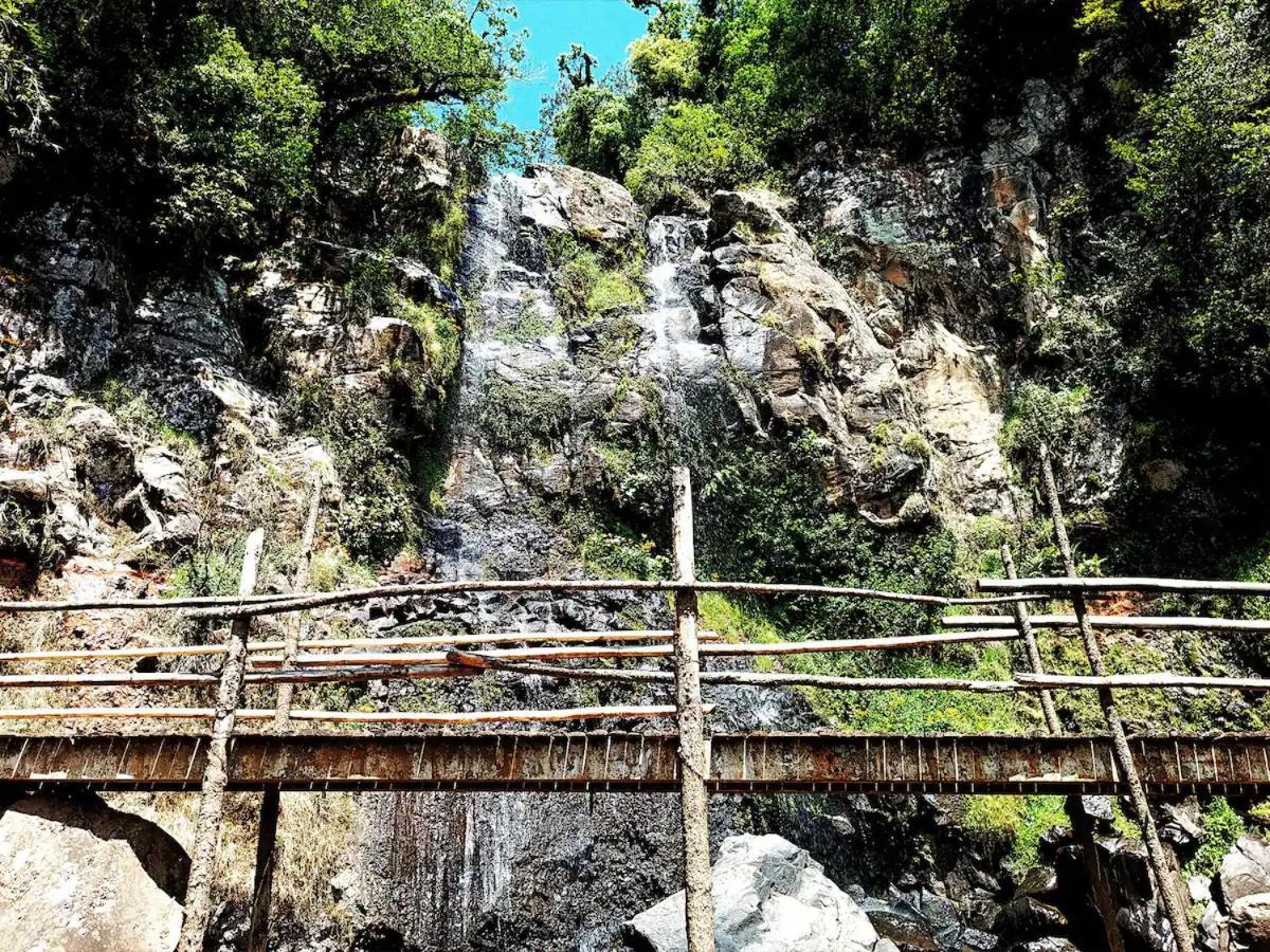 Cabana Para Pareja En El Bosque Ib Acaxochitlán Exterior foto