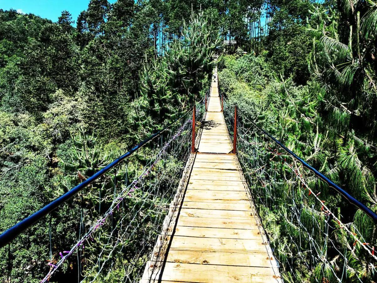 Cabana Para Pareja En El Bosque Ib Acaxochitlán Exterior foto